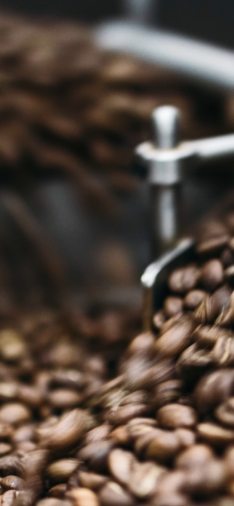 Barista making coffee